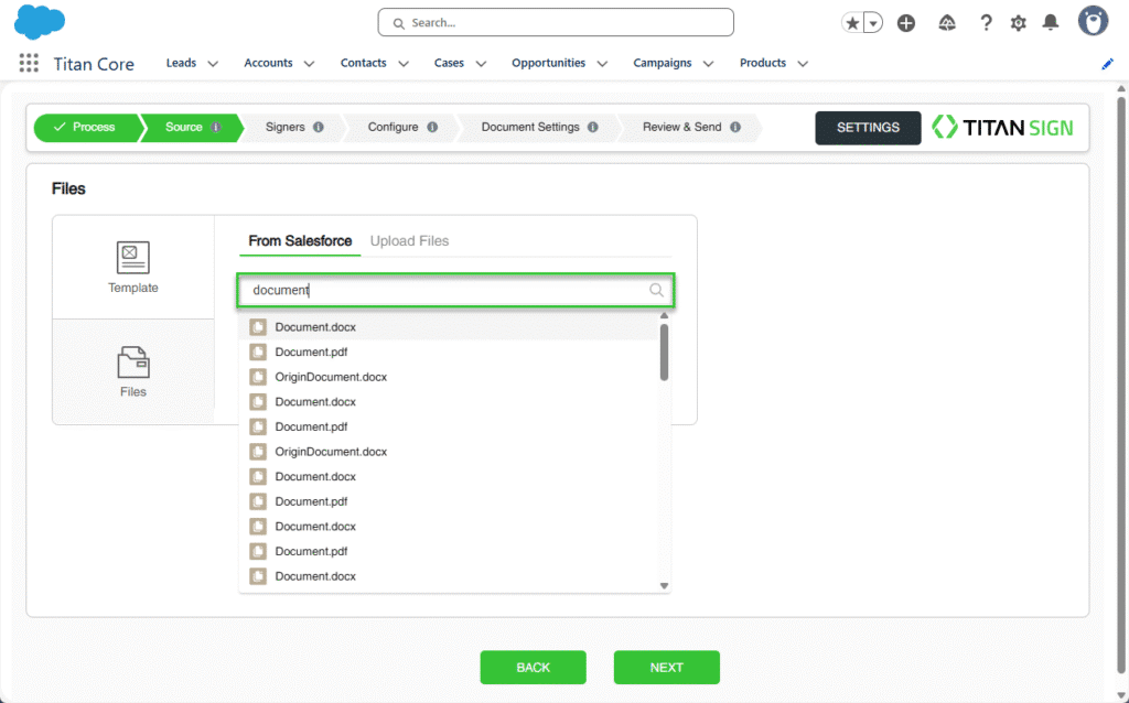 Source screen - From the Salesforce option search