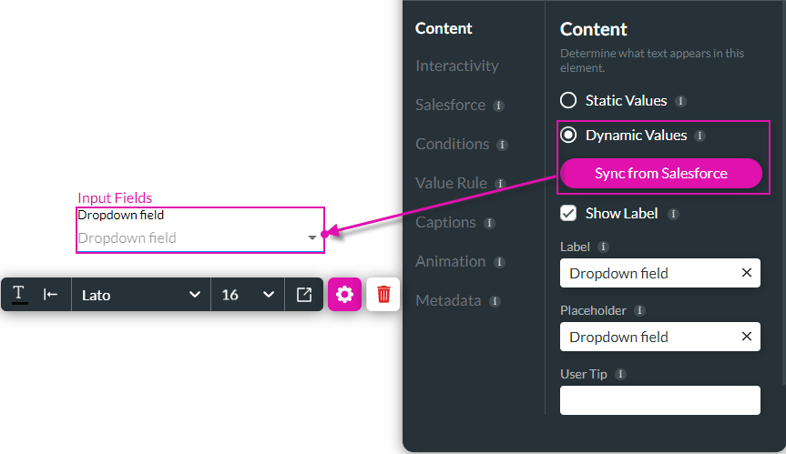 Dynamic Values option screen