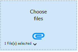 Uploaded file example screen