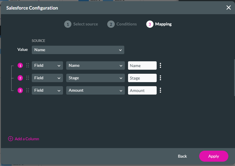 Salesforce Configuration screen - Mapping