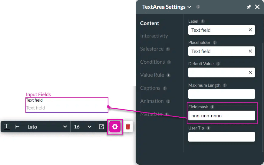 Field Mask option screen