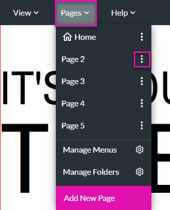 Page options screen