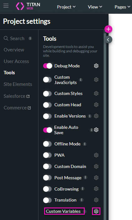 Custom Variables option