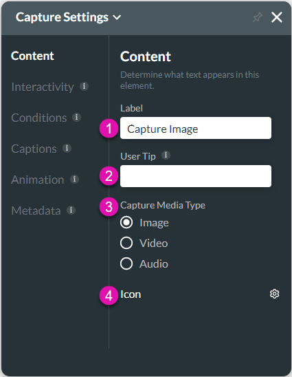 Titan's Content Settings for Salesforce Web