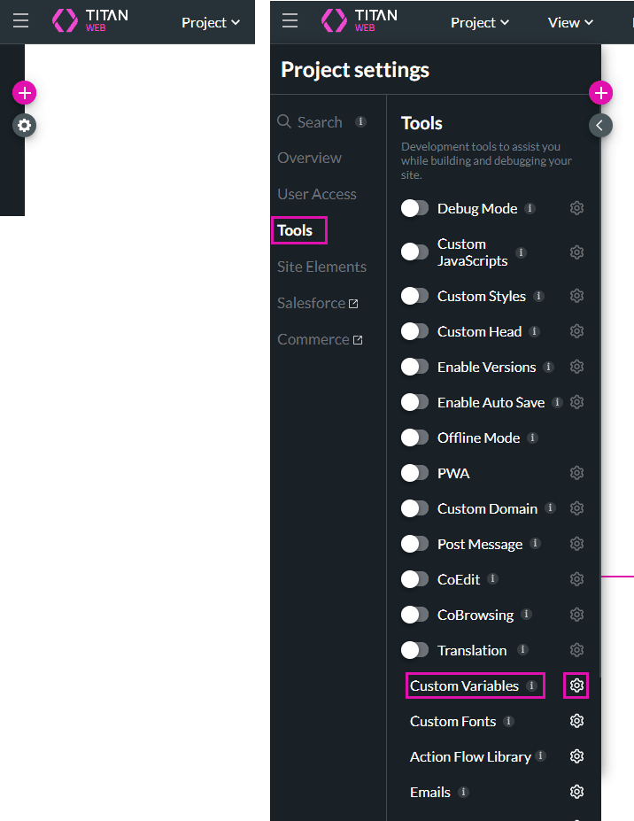 Custom Variables option