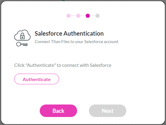 Salesforce Authentication screen