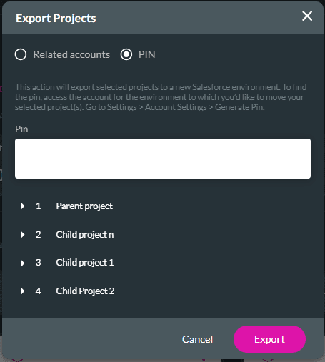 Export Projects screen - PIN option