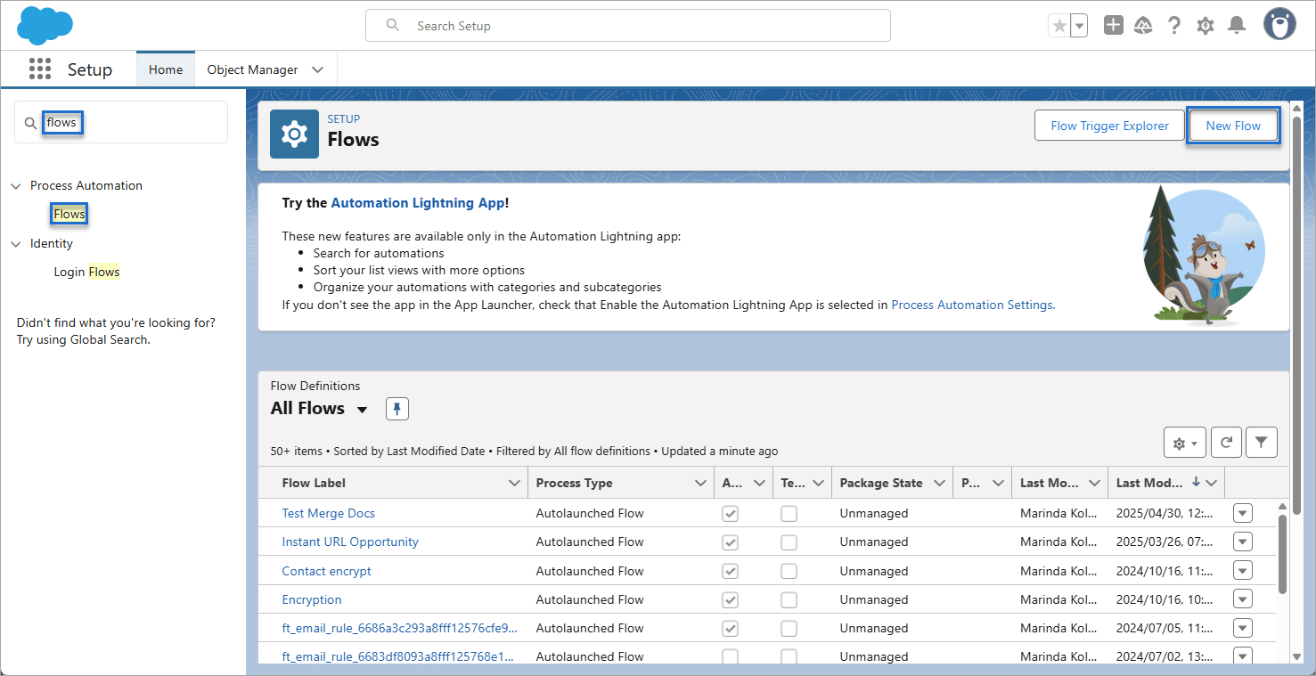 Flows option